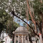 Maison Boheme - La Manzana Panama