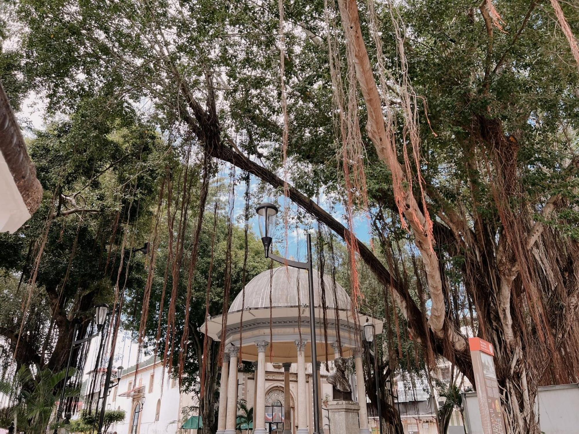 Maison Boheme - La Manzana * Ciudad de Panamá