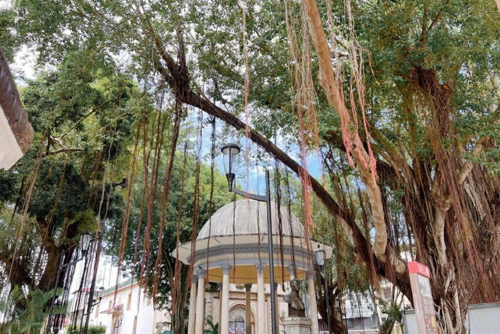 Maison Boheme - La Manzana Ciudad de Panamá